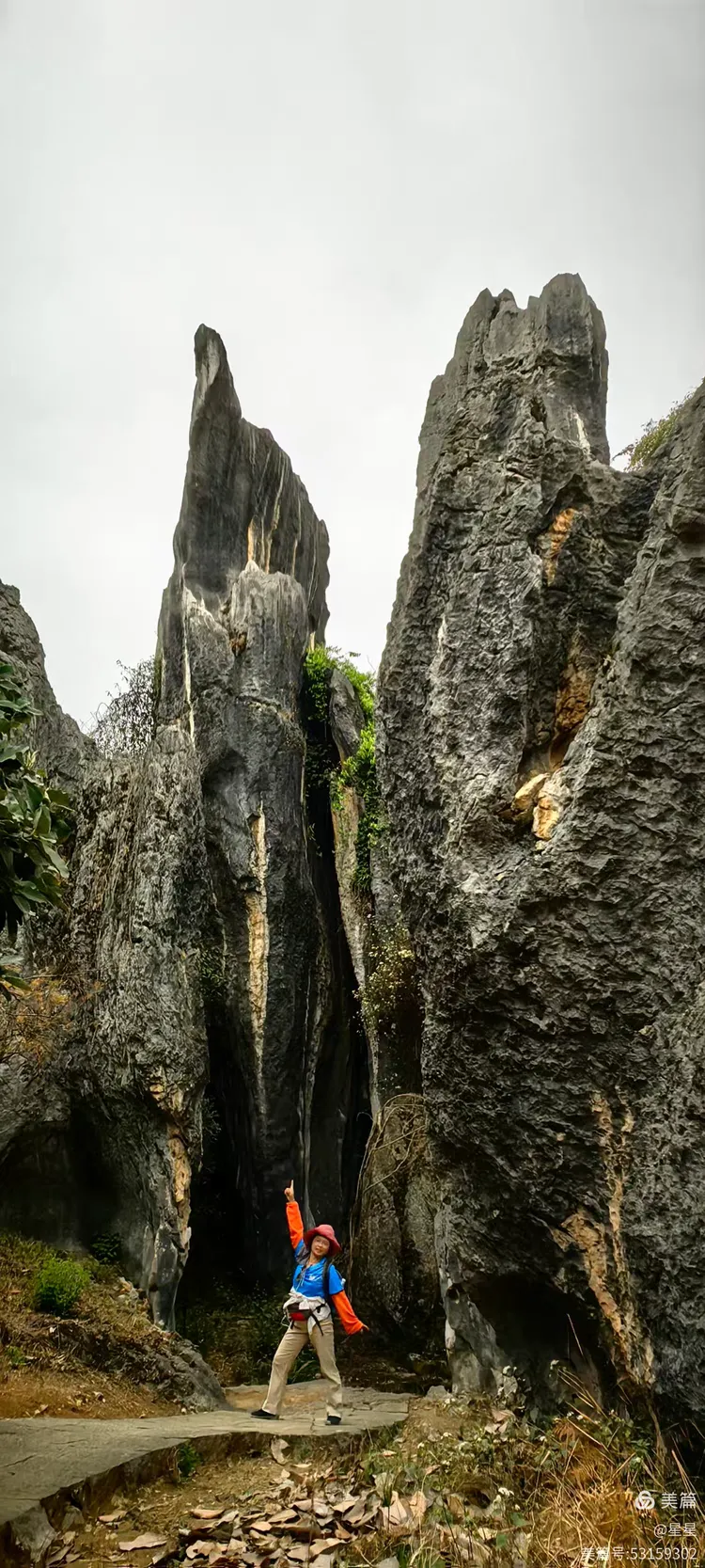 万年灵芝,大熔盆,李子园箐,步哨山景区,石林地质博物馆